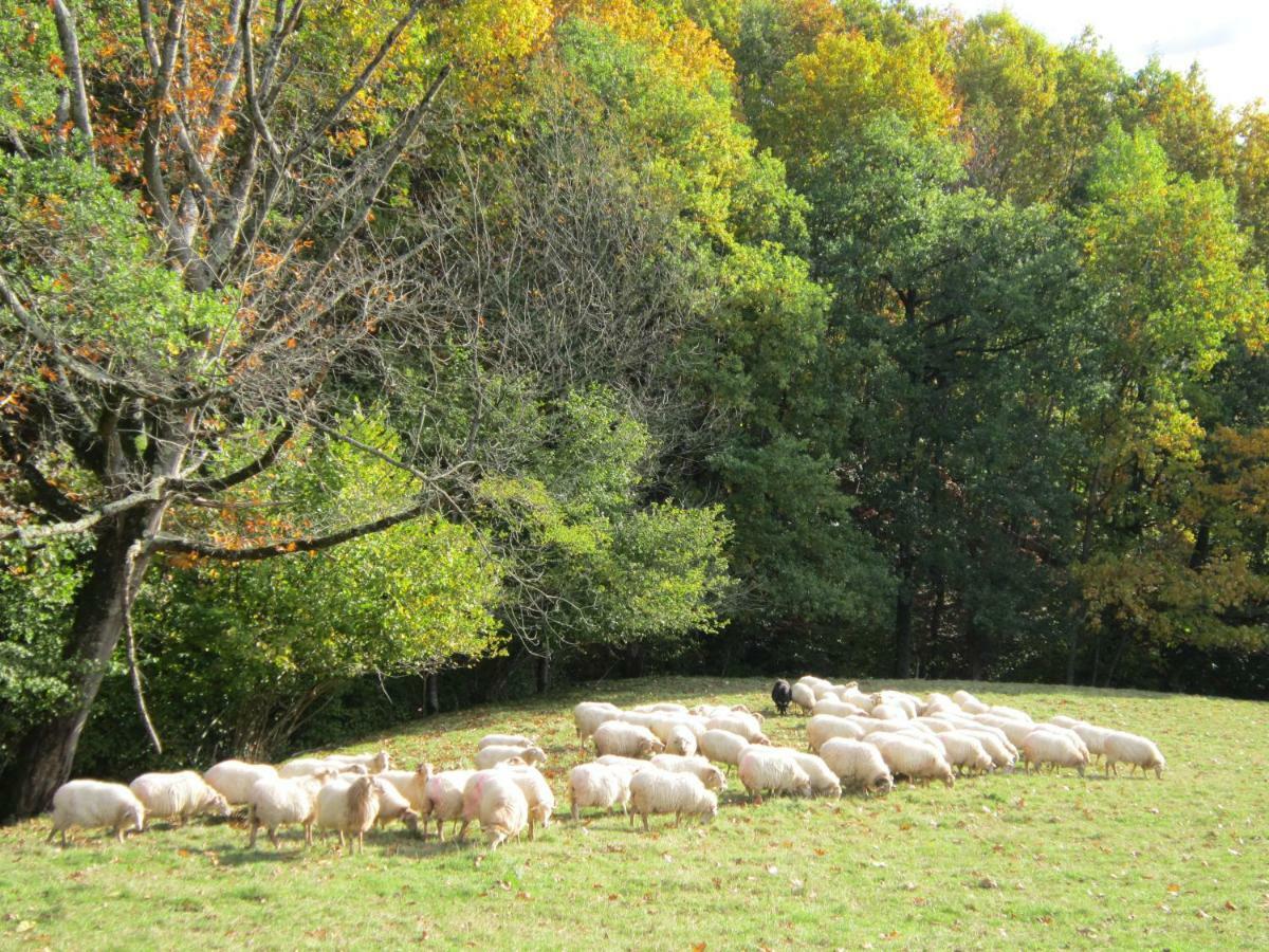 Casa Rural Lakoizketa Legasa Exteriör bild