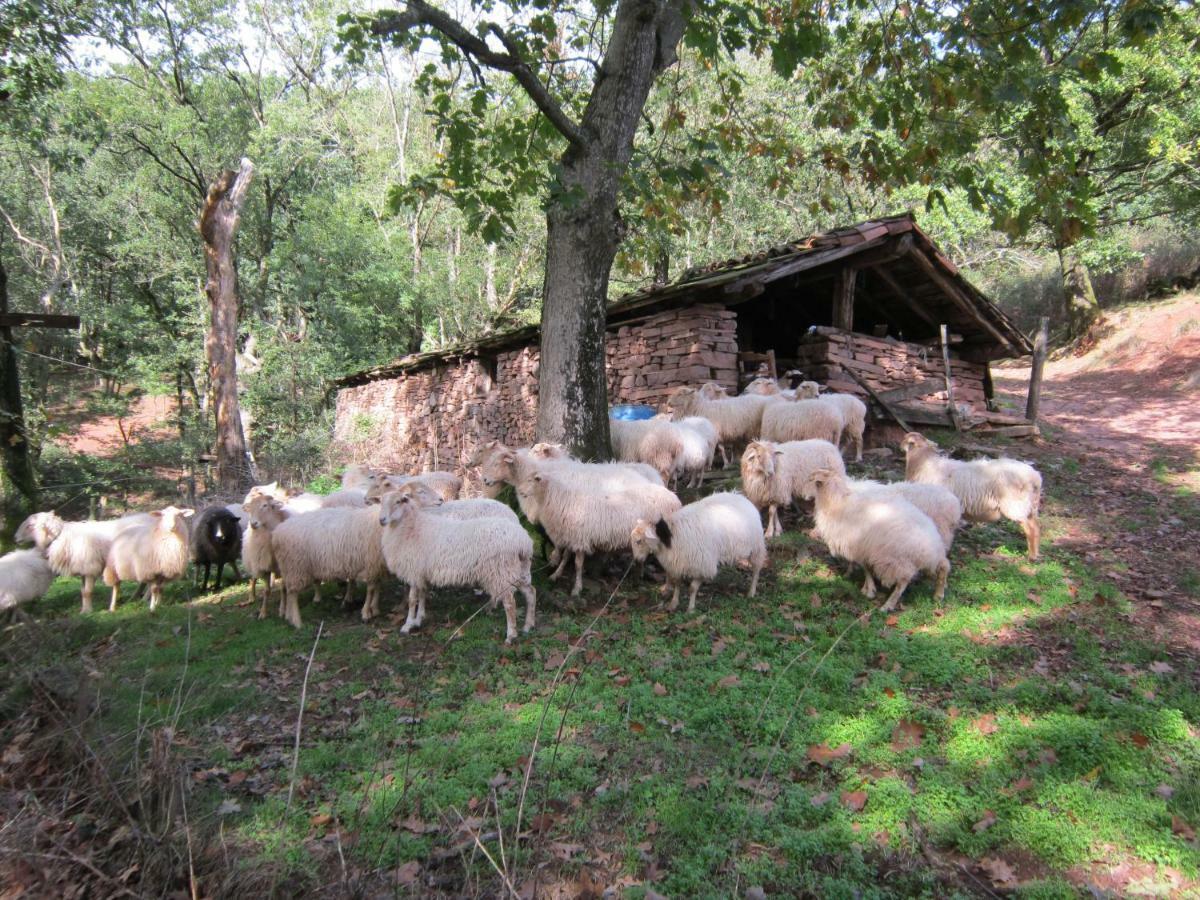 Casa Rural Lakoizketa Legasa Exteriör bild